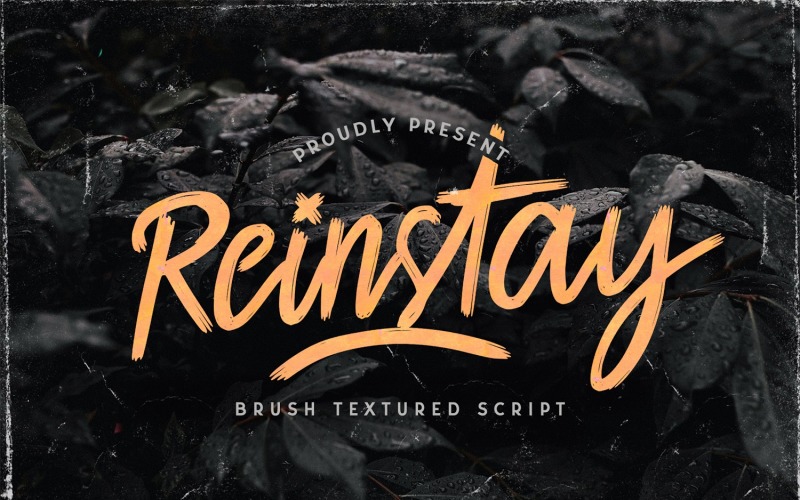 Reinstay-画笔纹理草书字体