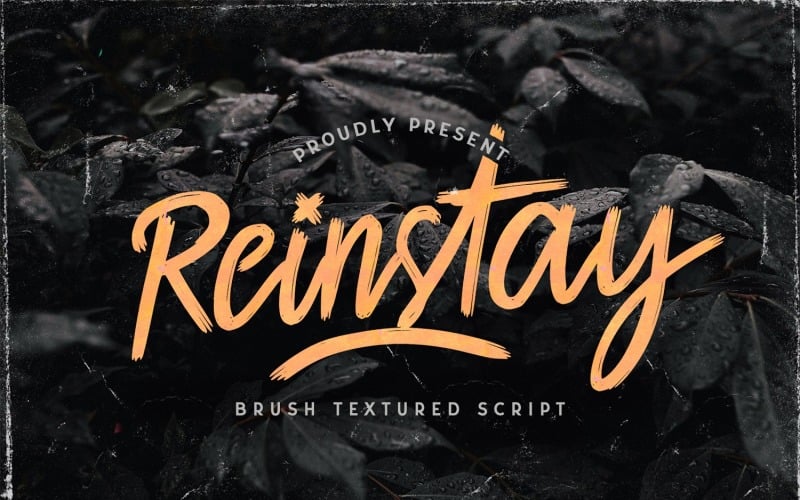Reinstay - Курсивний текстурний шрифт
