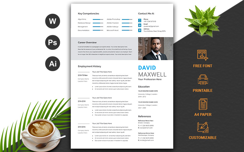 Plantilla de curriculum vitae profesional / cv