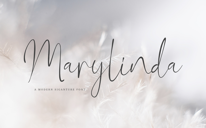 Marylinda Beauty Signature Font