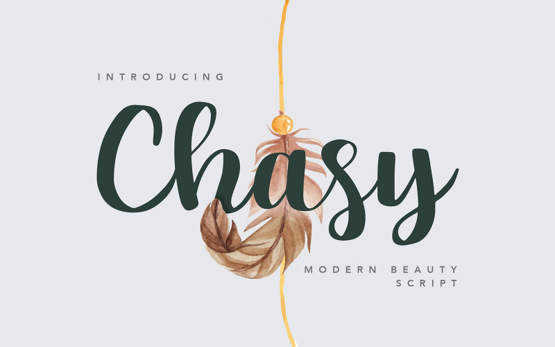 Download Шрифт "Chasy Beauty Font" / Chasy Beauty Font - Шрифт на тему графика stylish,beauty,modern,elegant,chasy,display,handwritten,coffee,script,font