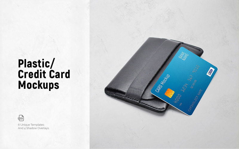 Modello di prodotto con carta di credito