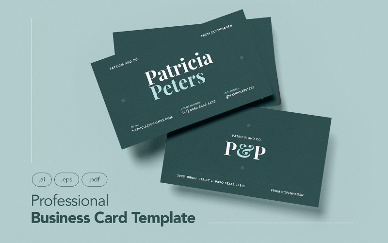 Professional and Minimalist Business Card V.15 - Corporate Identity Template