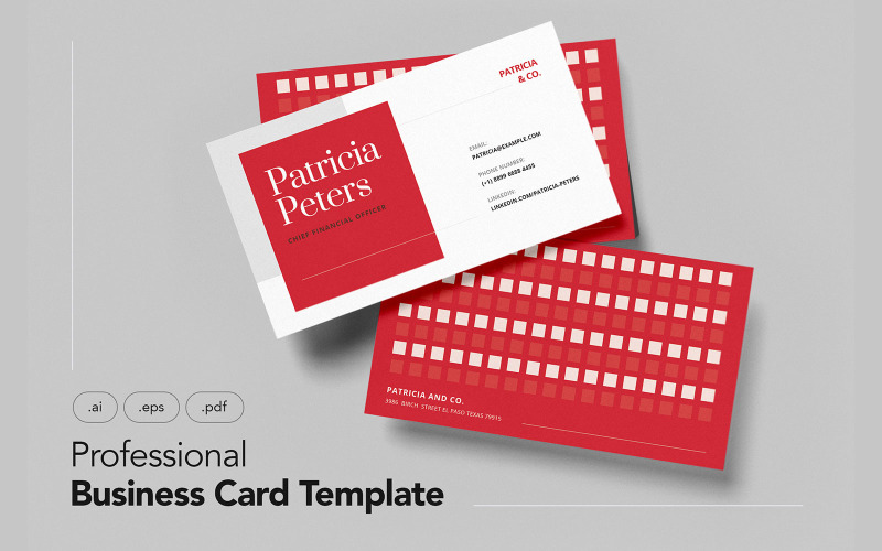 Professional and Minimalist Business Card V.19 - Corporate Identity Template