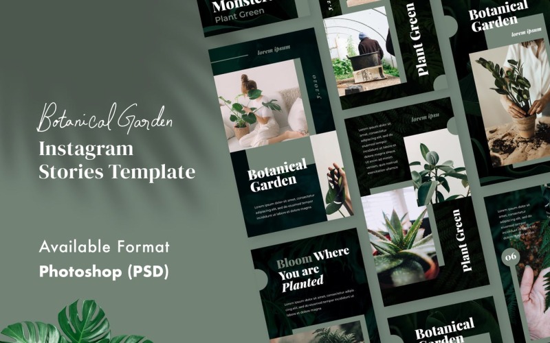 Download Шаблон для соцсетей "Botanical Garden Instagram Stories Template for Social Media" / Botanical Garden Instagram Stories Template for Social Media - Шаблон для соцсетей на тему графика instagram,story,stories,fashion,promotion,elegant,beauty,modern,psd,shop,company,corporate,photoshop