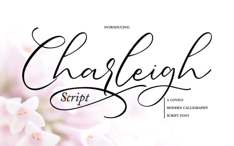 Charleigh | Carattere corsivo calligrafia moderna
