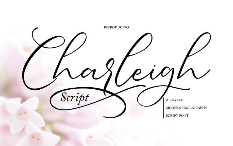 Charleigh | Fuente cursiva de caligrafía moderna