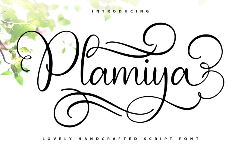 Plamiya | Handcrafted Cursive Font