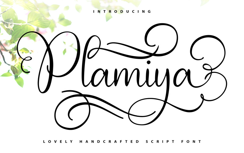 Plamiya | Handgjorda kursiva teckensnitt