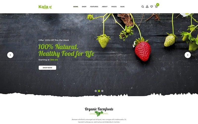 Kalo - Healthify & Organic Shopify-tema