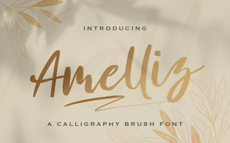 Amelliz - Kalligrafieborstel lettertype