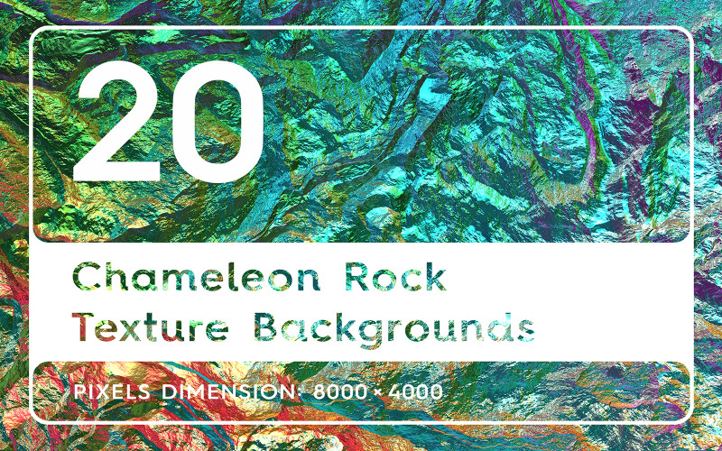 20 Chameleon Rock Texture Background
