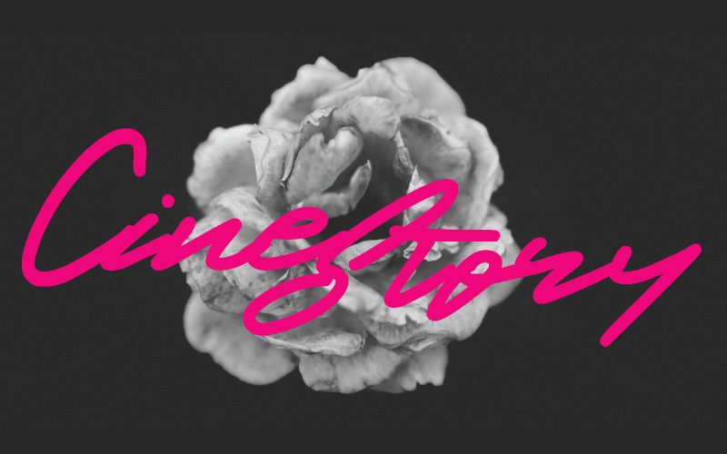 Download Шрифт "Cinestory Font" / Cinestory Font - Шрифт на тему графика beauty,blog,branding,business,calligraphy,card,cover,cursive,exclusive,fonts,hand drawn,handwriting,handwritten,instagram,invitation,magazine,popular,brush,monoline