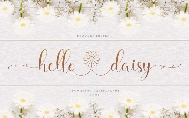 Hello Daisy - Modern kalligráfia betűtípus