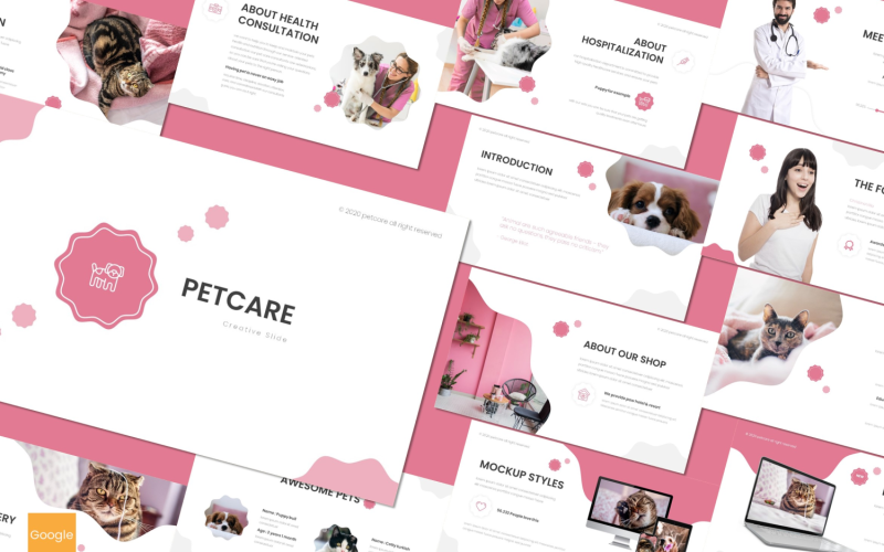 Petcare Google Diák