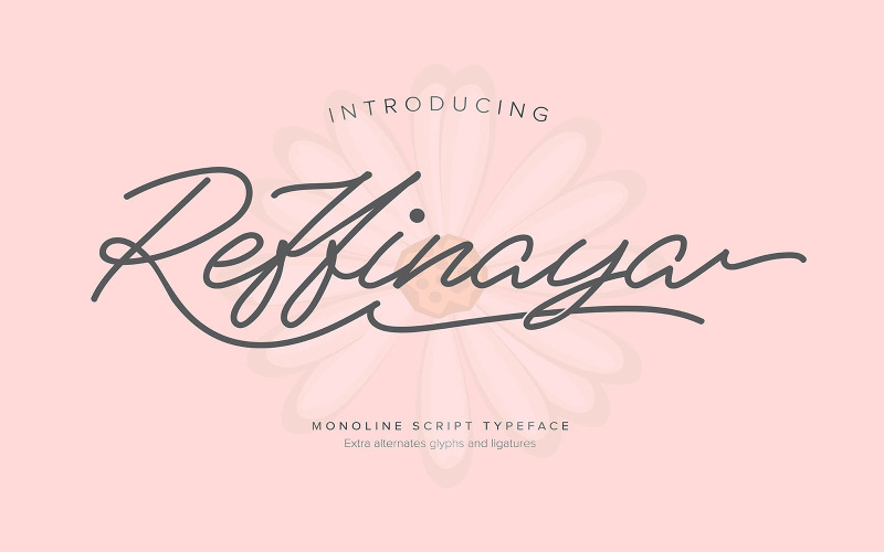 Reffinaya | Monoline Script Typeface Font