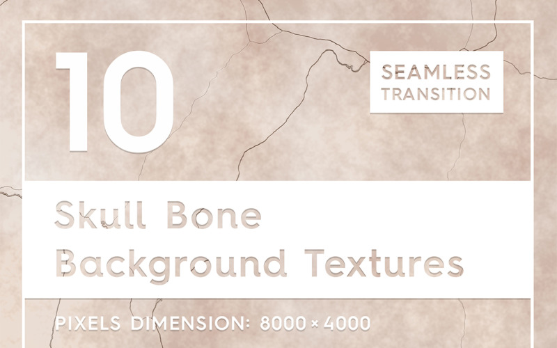 Fundo de 10 texturas de osso de crânio
