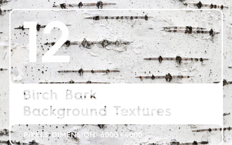 12 Birch Bark Textures Background