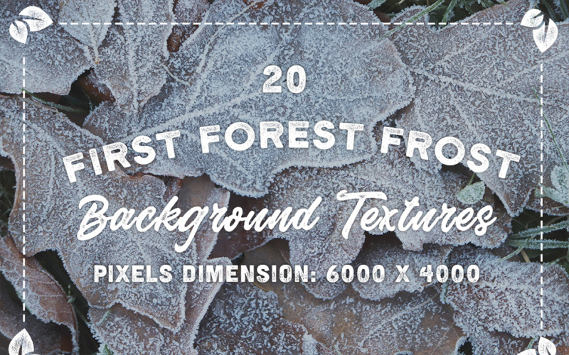 20 Fond de textures originales de givre de la première forêt