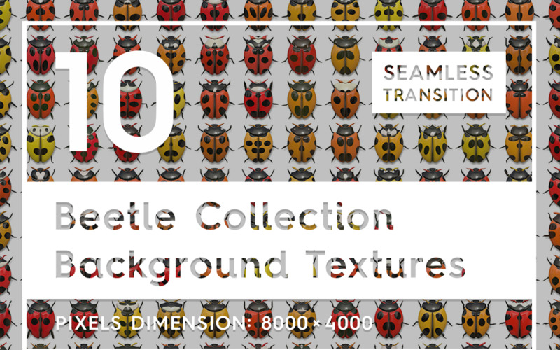 10 Beetle Collection Textures Background