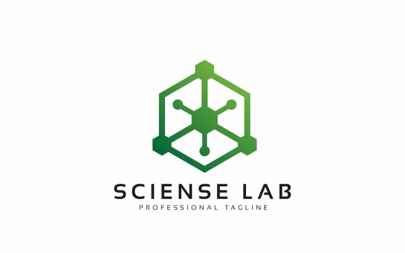 Sciense Hexagon Lab Logo Template #114551 - TemplateMonster