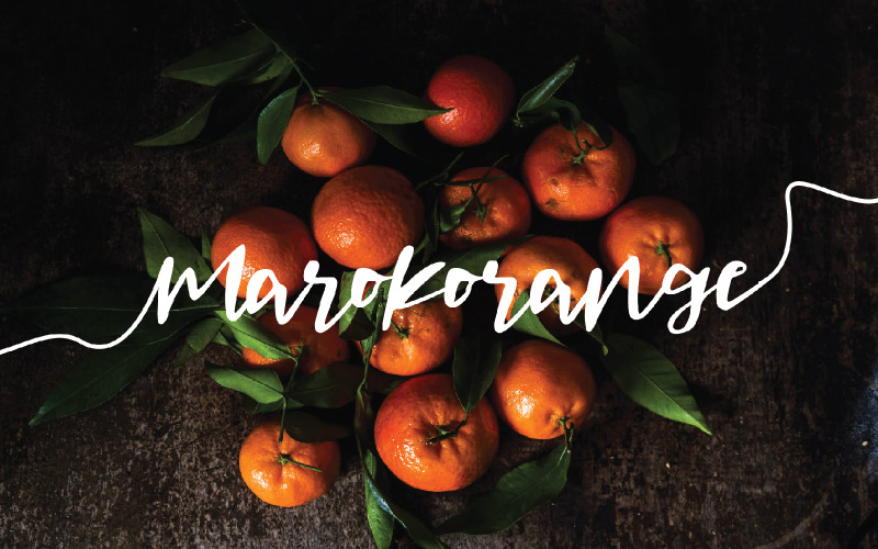 Download Шрифт "Maroko Font" / Maroko Font - Шрифт на тему графика beauty,beauty script font,female,feminine,font for beauty,font for invitation,font for logo,font for signature,font for wedding,font for woman,handwriting,handwritten font,handwritten script,