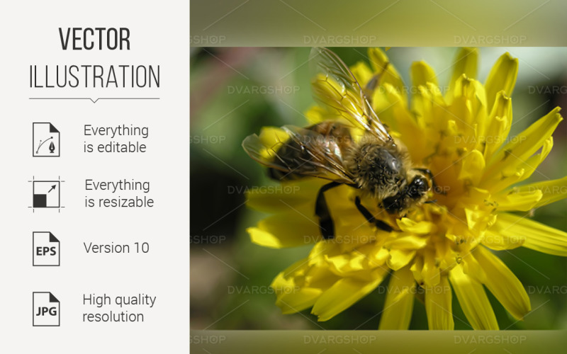 Download Vector "Bee on the Flower - Vector Image" / Bee on the Flower - Vector Image - Vector на тему графика bee,flower,vector,illustration,yellow,bumble,pollination,bumblebee,art,image,fun,antennae,one,collect,stripes,insect,graphic,single,antenna,wings
