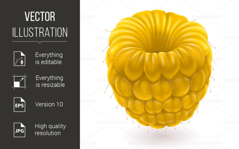 Download Vector "Yellow Raspberries - Vector Image" / Yellow Raspberries - Vector Image - Vector на тему графика yellow,white,raspberries,design,time,sign,drinks,macro,freshness,side,one,ideas,painting,vector,computer,bush,digitally,raspberry,concepts