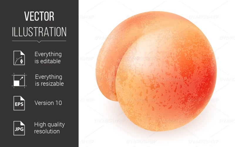 Download Vector "Appetizing Ripe Peach - Vector Image" / Appetizing Ripe Peach - Vector Image - Vector на тему графика ripe,background,appetizing,white,peach,illustration,colorful,tasty,object,leaf,new,drawing,yellow,dessert,snack,eat,breakfast,freshness,smooth,soft