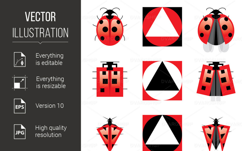 Download Vector "Conceptual Evolution of Ladybug - Vector Image" / Conceptual Evolution of Ladybug - Vector Image - Vector на тему графика evolution,conceptual,illustration,fly,ladybug,blossom,wildlife,beetle,graphic,color,beautiful,closeup,image,nature,abstract,design,element,close,art,ladybird