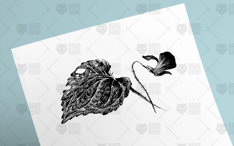 Download Иллюстрация "Flower Violet Sketch - Illustration" / Flower Violet Sketch - Illustration - Иллюстрация на тему графика flower,vector,petunia,scribble,freehand,bud,natural,primula,floral,spring,viola,line,leaf,botanical,symbol,graphic,decor,blossom,handmade,art