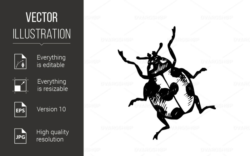 Download Vector "Coccinellidae Icon - Vector Image" / Coccinellidae Icon - Vector Image - Vector на тему графика coccinellidae,icon,background,black,insect,zoology,design,ladybird,small,nature,symbol,spotted,line,pencil,spot,sign,tattoo,biology,pictogram,beetle