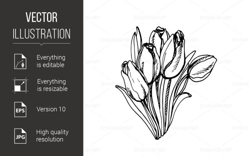 Download Vector "Tulip - Vector Image" / Tulip - Vector Image - Vector на тему графика tulip,black,white,background,flower,flora,bloom,blossom,illustration,beautiful,floral,season,summer,outline,spring,nature,stem,template,drawing,set