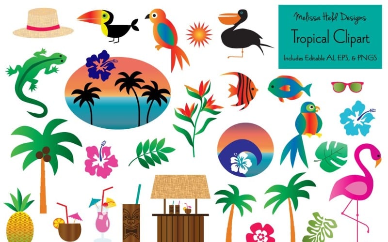 Clipart vectorial tropical - ilustración