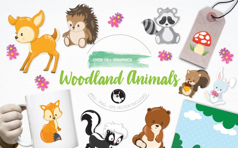 Woodland Animals Illustration Pack - Vektorbild