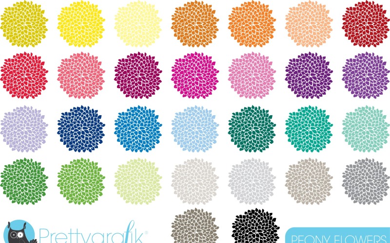 30 pionblommabstrakt begrepp Clipart - vektorbild