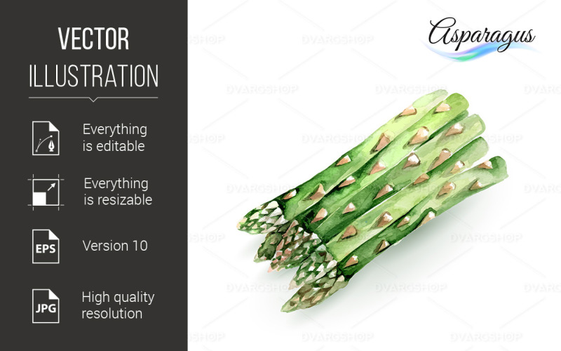 Download Vector "Asparagus - Vector Image" / Asparagus - Vector Image - Vector на тему графика watercolor,background,asparagus,fresh,vegetable,white,isolated,nature,vitamin,health,vegetarian,painting,object,food,element,nutrition,agriculture,art,sprout,style