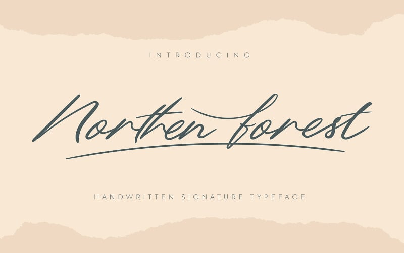 Download Шрифт "Northern Forest | Handwritten Signature Typeface Font" / Northern Forest | Handwritten Signature Typeface Font - Шрифт на тему графика handwritten,art,calligraphy,design,text,letter,vector,alphabet,drawn,modern,font,typography,symbol,type,abc,hand,graphic,background,illustration,style