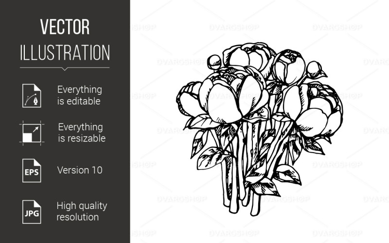 Download Vector "Peony - Vector Image" / Peony - Vector Image - Vector на тему графика peony,white,background,black,graphic,summer,decorative,retro,illustration,flourish,decor,pattern,spring,drawing,tattoo,frame,element,romantic,style,design