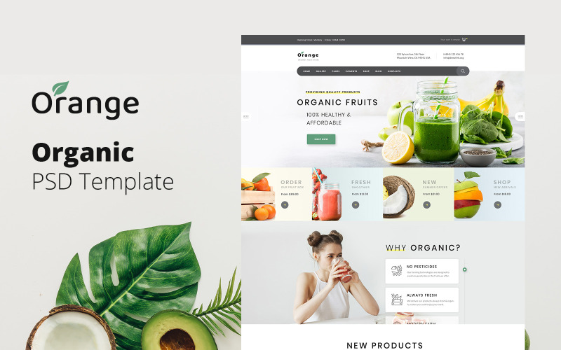 Arancione - Modello PSD di sito Web biologico