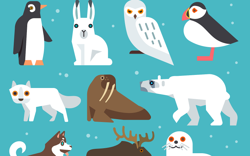 Download Vector "Polar Animals Flat Icons - Vector Image" / Polar Animals Flat Icons - Vector Image - Vector на тему графика animal,bird,polar,arctic,flat,bear,reindeer,cute,dog,whale,killer whale,walrus,seal,deer,fox,owl,ice,floe,cold,snow