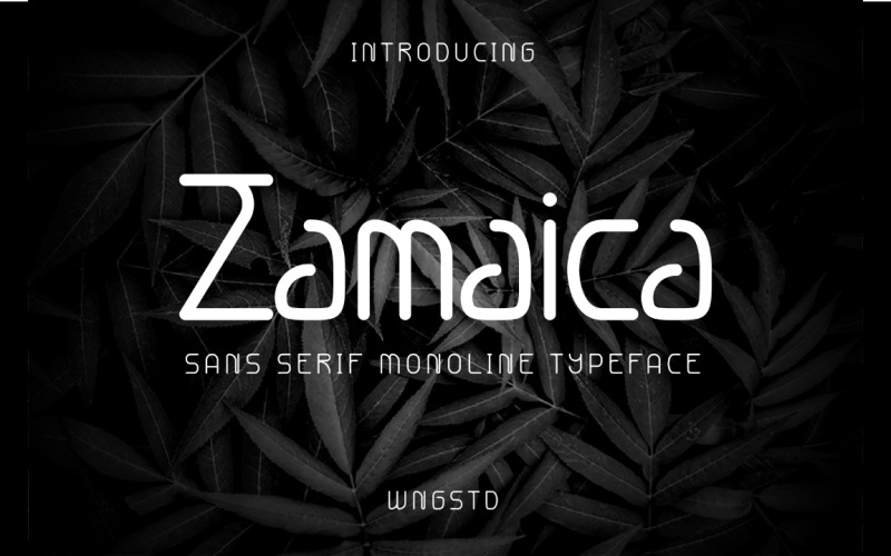 Zamaica - Monoline Sans Serif Font