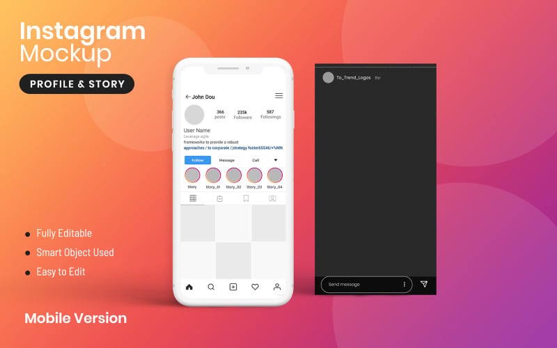 Instagram 个人资料和故事产品模型
