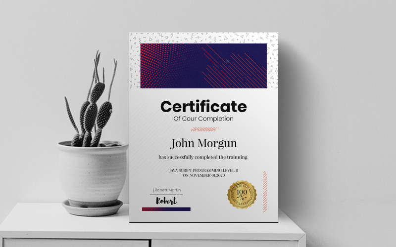 Modello di certificato professionale