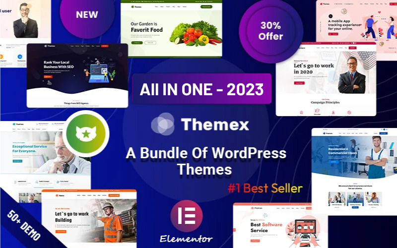 Themex - Duyarlı Çok Amaçlı WordPress Teması
