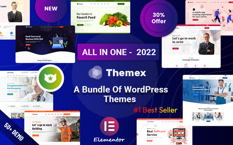 Themex - Responsivt mångsidigt WordPress-tema