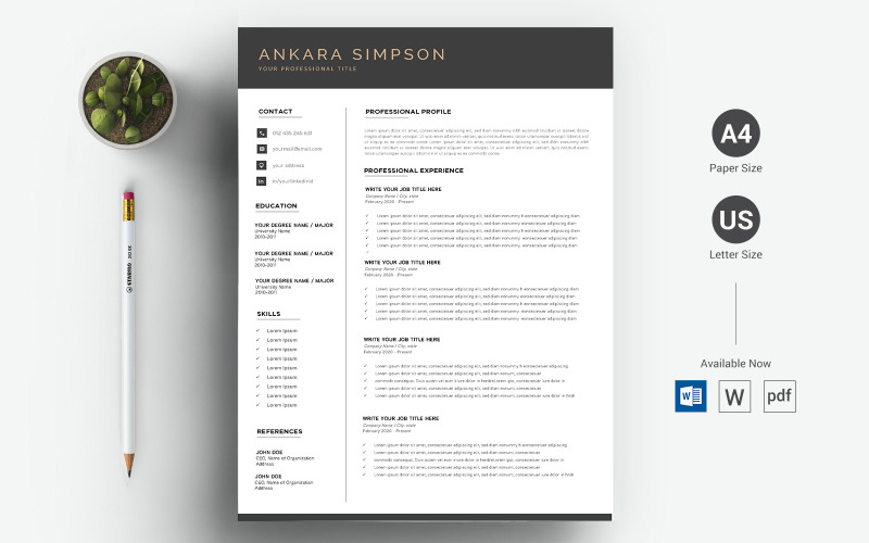 Ankara Simpson - CV e modello di curriculum