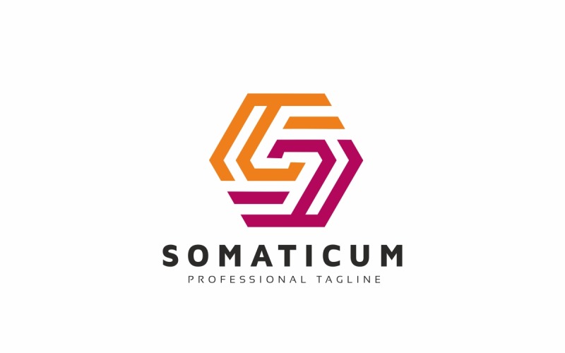 Download Шаблон логотипа "S Letter Hexagon Logo Template" / S Letter Hexagon Logo Template - Шаблон логотипа на тему графика abstract,agency,colorful,creative,data,design,development,digital,dynamic,game,gaming,hexagon,identity,letter,letter s,logo,marketing,media,pixel,regenerate