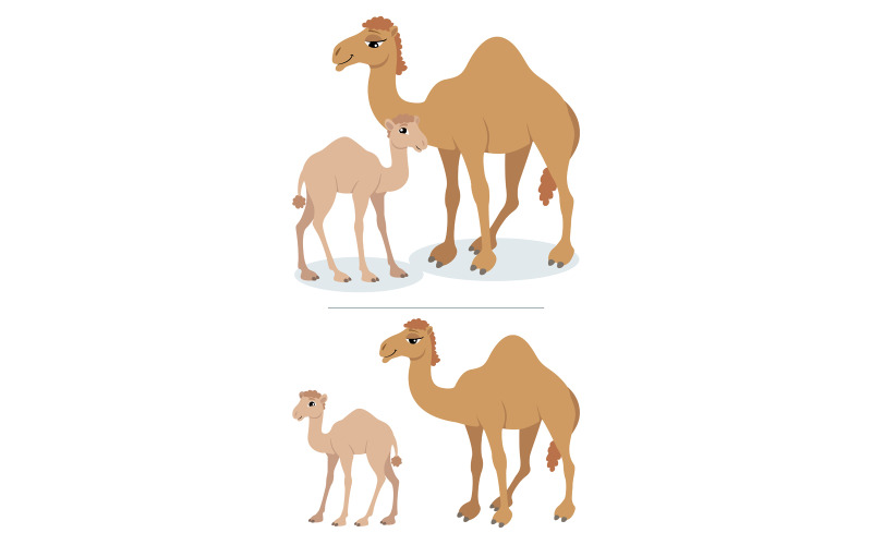 Download Иллюстрация "Camels - Illustration" / Camels - Illustration - Иллюстрация на тему графика camel,baby,child,mother,family,parent,mammal,animal,cartoon,vector,illustration,hump,hunch,isolated,white,background,clip art,clipart,design element