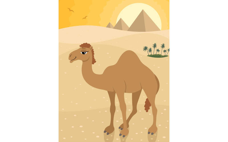 Kamel - Illustration